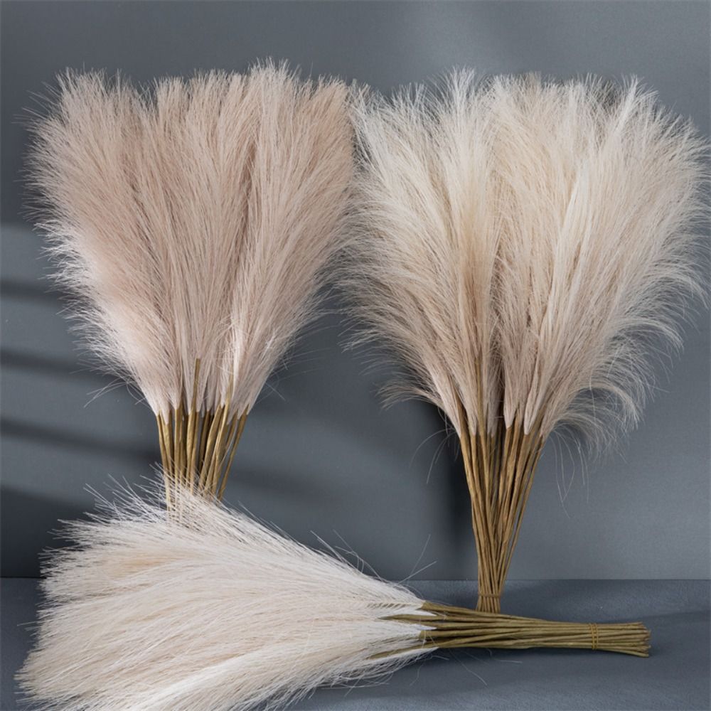10 ชิ้น/ชุด ของตกแต่งบ้าน หญ้า - Pampas Grass Decor บทวิจารณ์และราคา