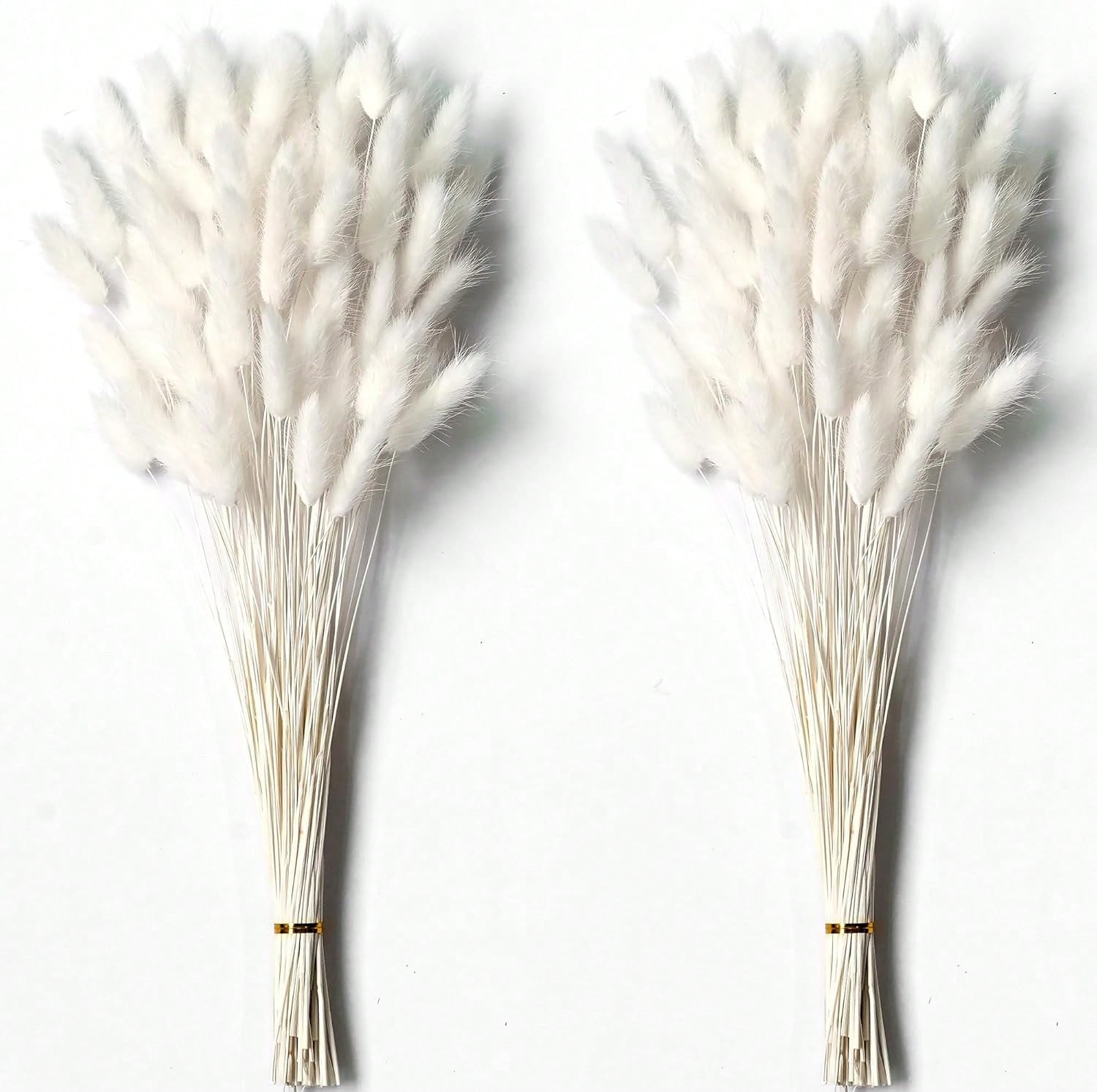 120 PCS แห้ง Pampas Grass Deco - Pampas Grass Decor บทวิจารณ์และราคา