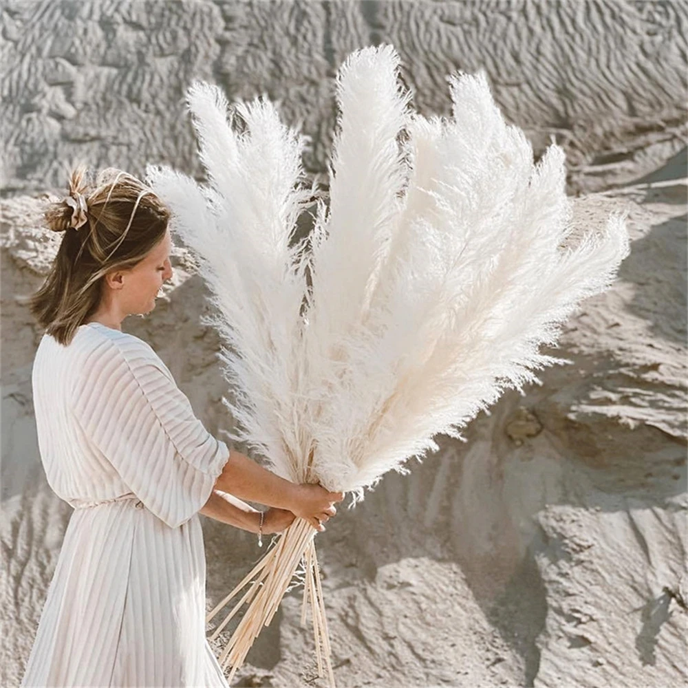 110 - 120 ซม.ขนาดใหญ่แห้ง Pamp - Pampas Grass Decor บทวิจารณ์และราคา
