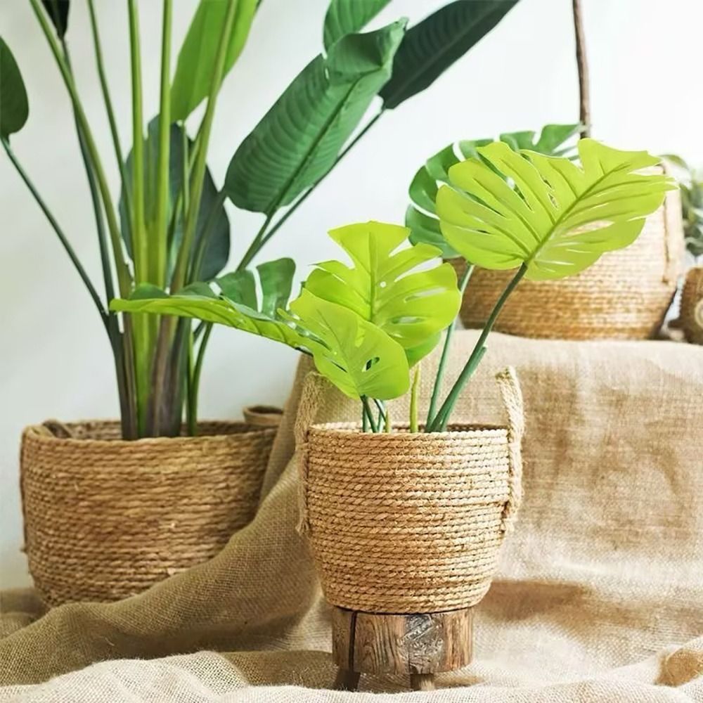 กระถางดอกไม้หวายสานสำหรับตกแต่ - Rattan Plant Basket บทวิจารณ์และราคา
